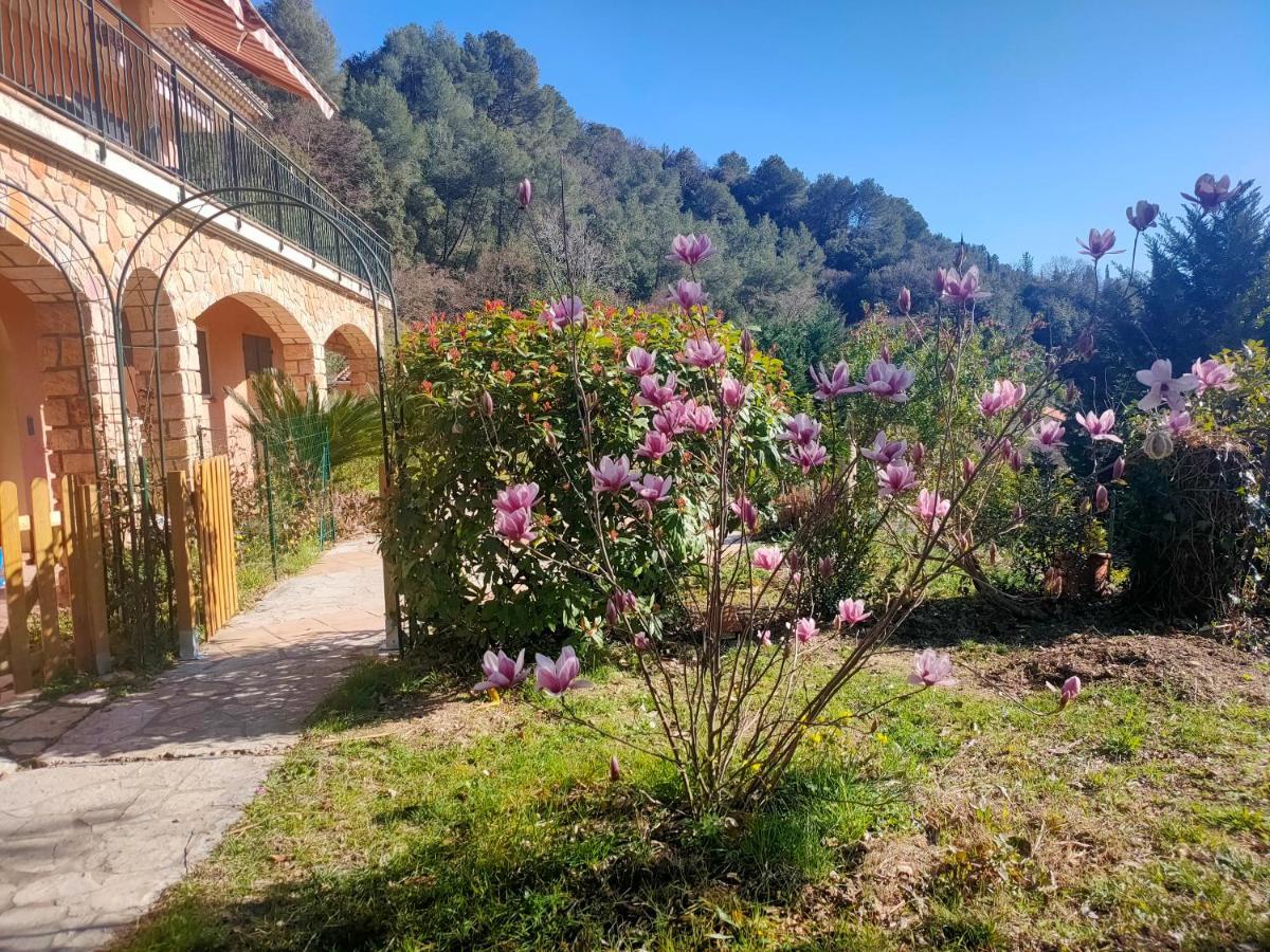 Un Brin De Paille Villa Cagnes-sur-Mer Luaran gambar