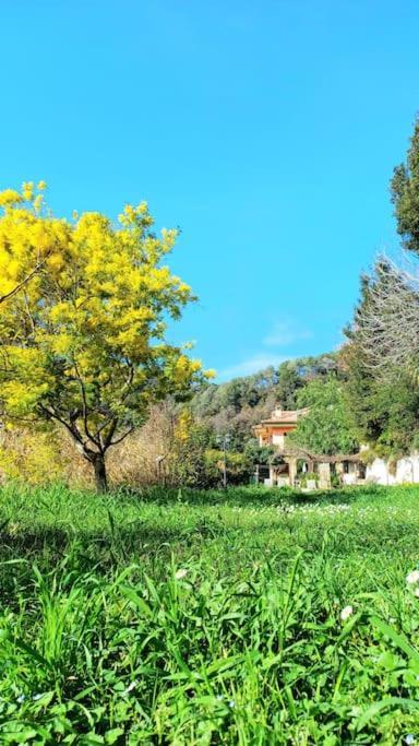 Un Brin De Paille Villa Cagnes-sur-Mer Bilik gambar